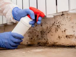 Best Real Estate Mold Inspection  in Mulgee, OK